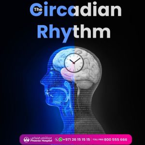 "circadian rhythm"